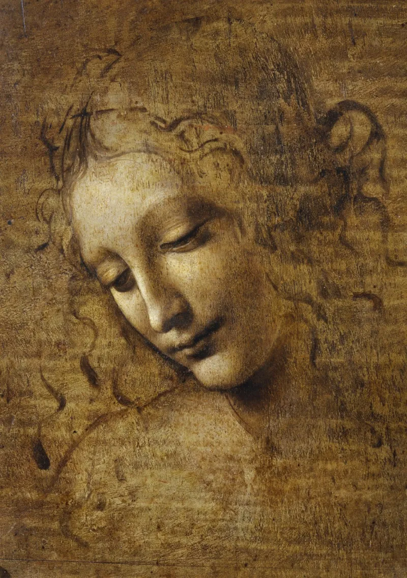 Leonardo da Vinci - La Scapigliata, 1506-1508