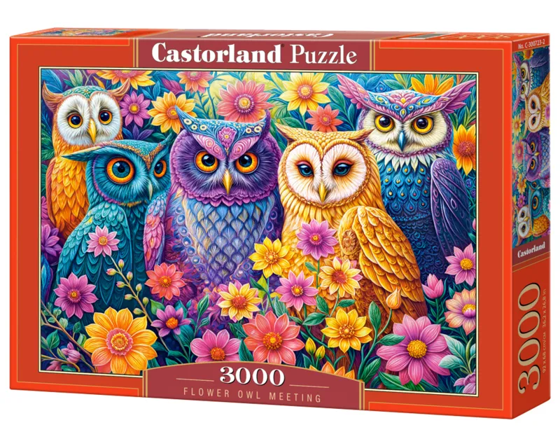 Flower Owl Meeting