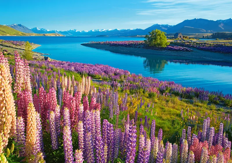 Lake Tekapo, New Zealand