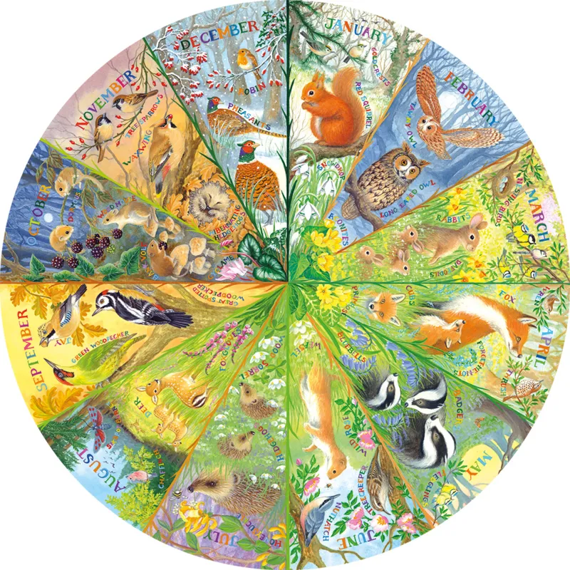 National Trust: A Year in the Forest (500 CIRCULAR)