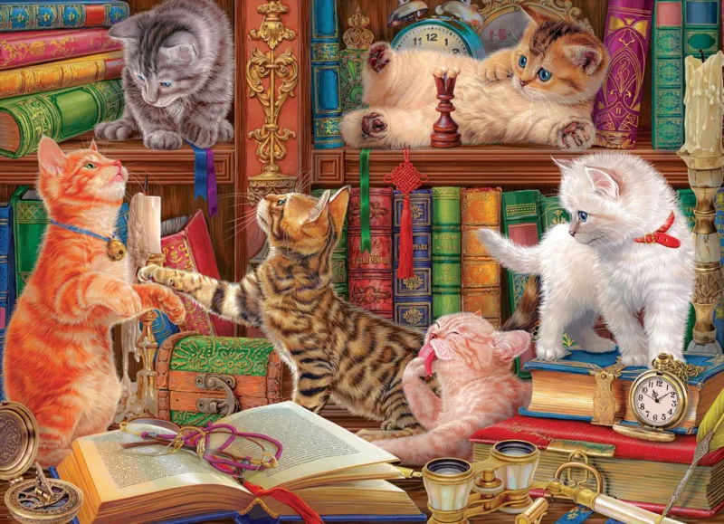 Kätzchen in der Bibliothek