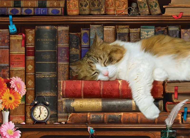XXL Teile - The Cat Nap