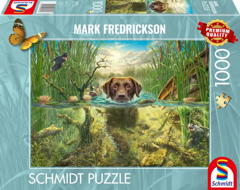 Hundeliebe - Brauner Labrador im Kühlen Nass