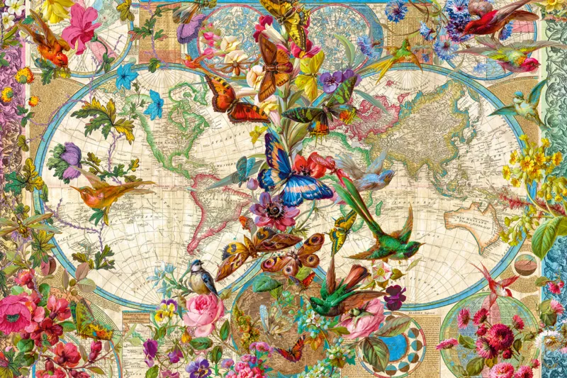 Fauna and Flora Map