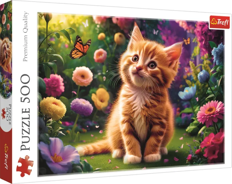 Cute Kitty