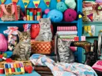 Katzen im Nähzimmer
