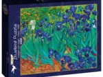Vincent Van Gogh - Irises, 1889