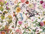 Secret Garden - Kolibris