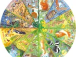 National Trust: A Year in the Forest (500 CIRCULAR)