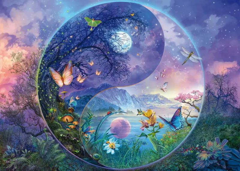 Yin & Yang - Die fantastische Welt der Insekten
