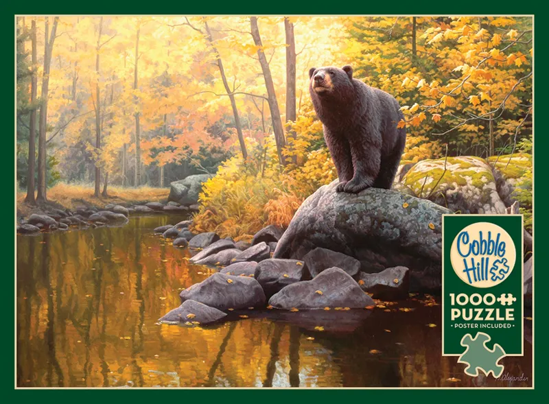Black Bear Pond