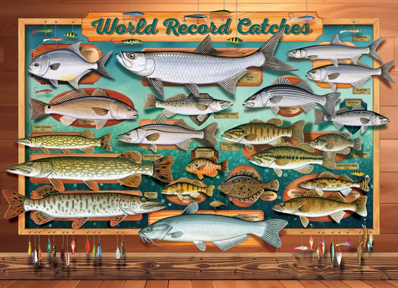 XXL Teile - World Record Catches