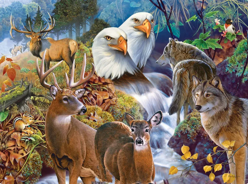 Jerry Gadamus - Forest Neighbors