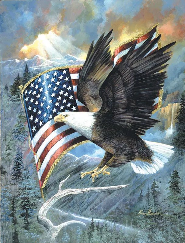 XXL Teile - American Eagle