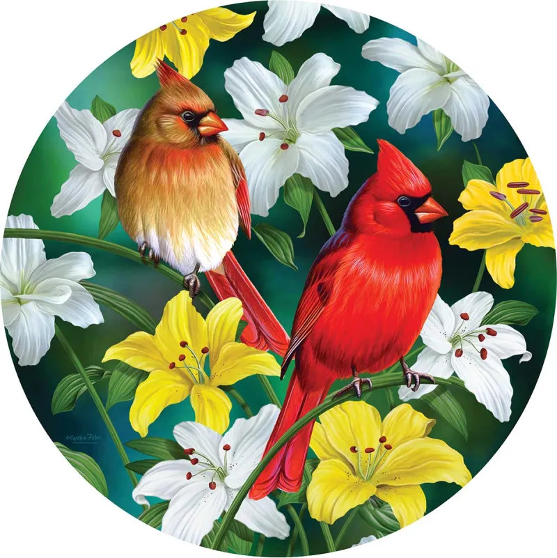 XXL Teile - Cardinals in the Round