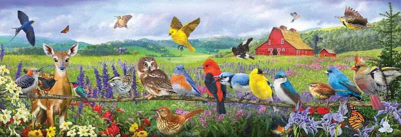 XXL Teile - Eastern Birds