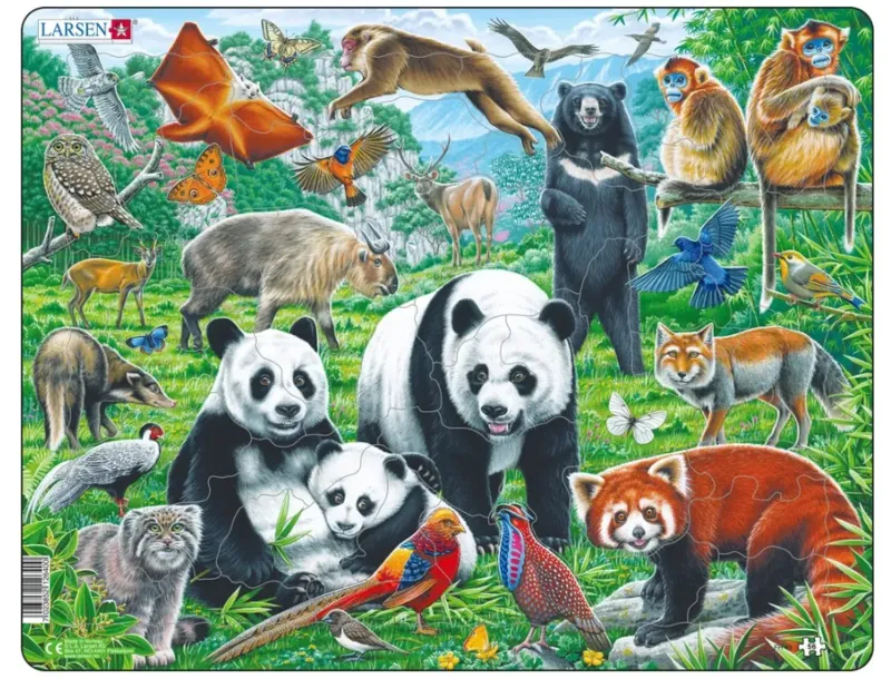 Rahmenpuzzle - Panda Bear Family on a China Mountain Plateau