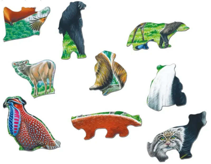 Rahmenpuzzle - Panda Bear Family on a China Mountain Plateau