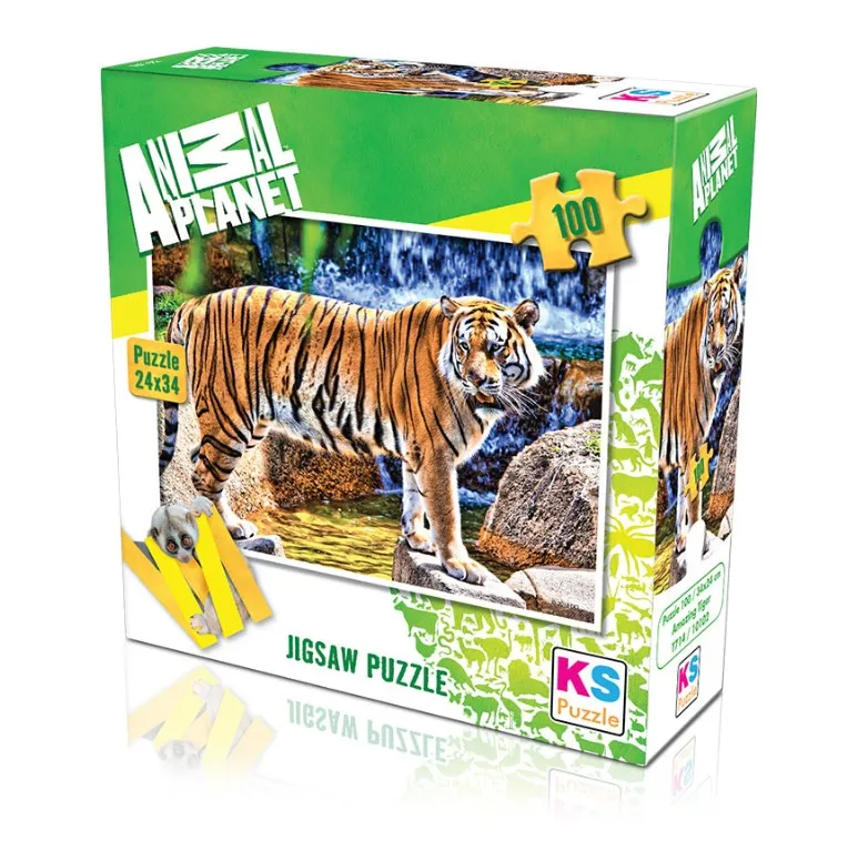 Amazing Tiger