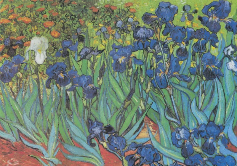 Vincent Van Gogh, 1889