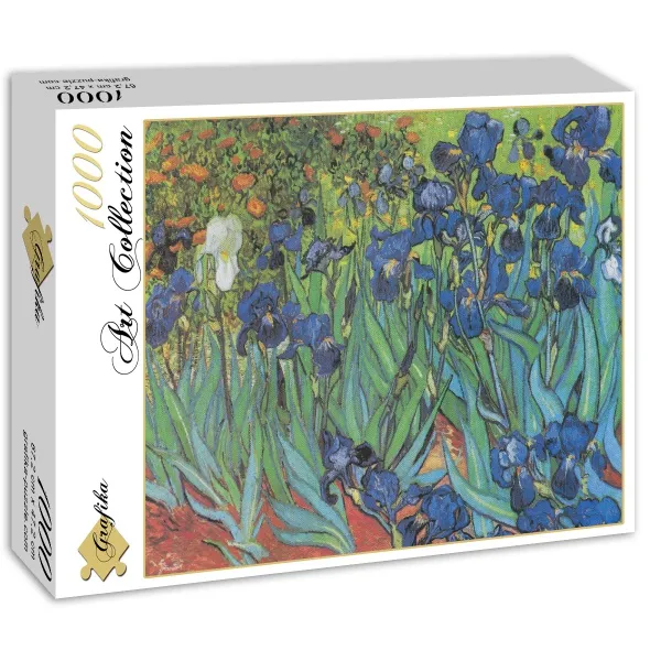 Vincent Van Gogh, 1889