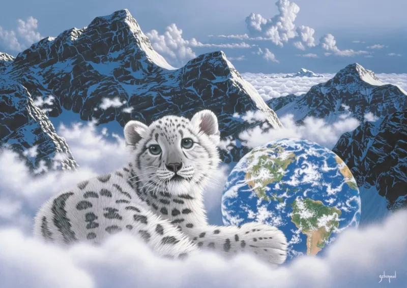 Schim Schimmel - Bed of Clouds