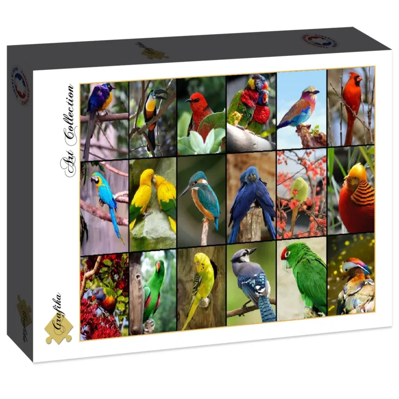 Collage - Die schönsten Vögel der Welt