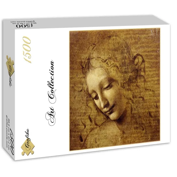 Leonardo da Vinci: Gesicht der Giovane Fanciulla, 1508