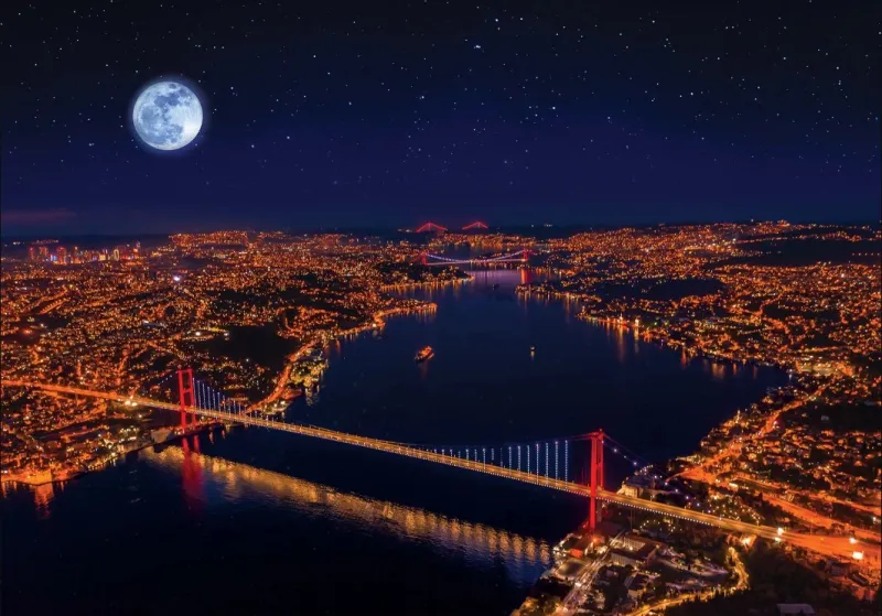 Neon Puzzle - Three Bridges, Bosporus