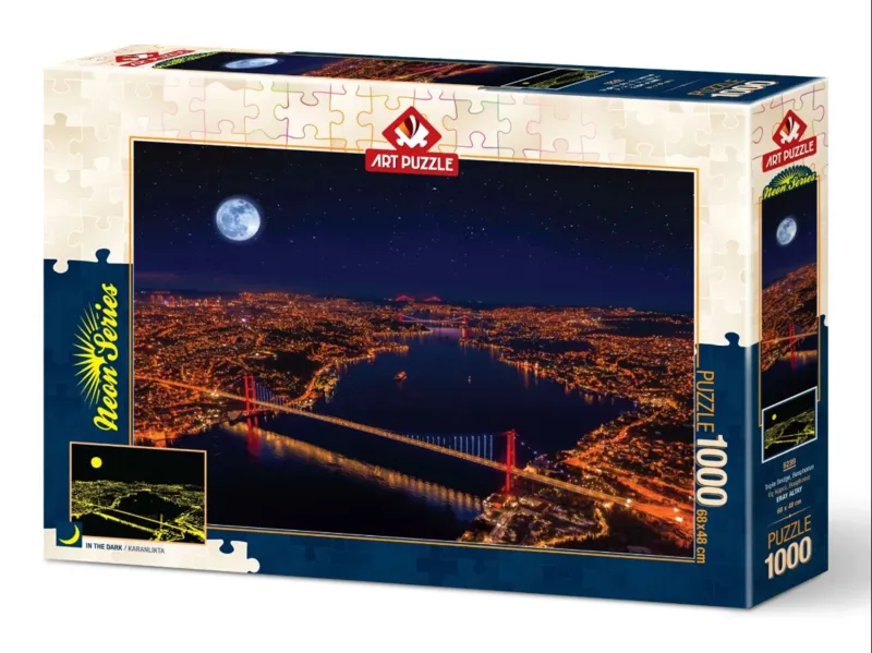 Neon Puzzle - Three Bridges, Bosporus