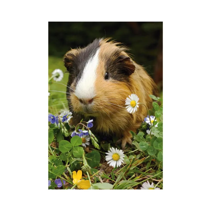 Mini-puzzle Meerschweinchen
