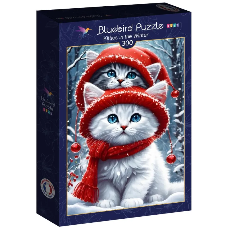 Kitties in the Winter