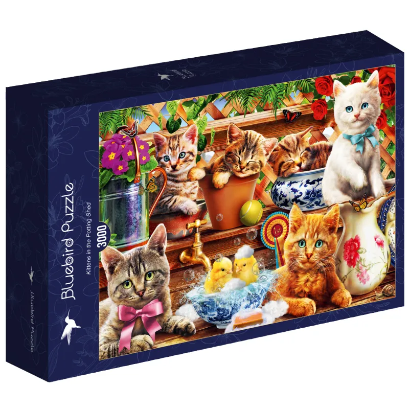 Kittens in the Potting Shed