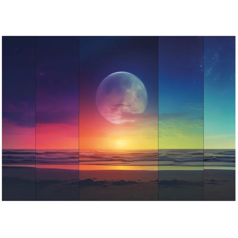 Cosmic Phases
