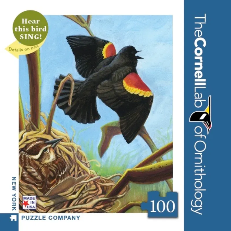 Red-winged Blackbird
