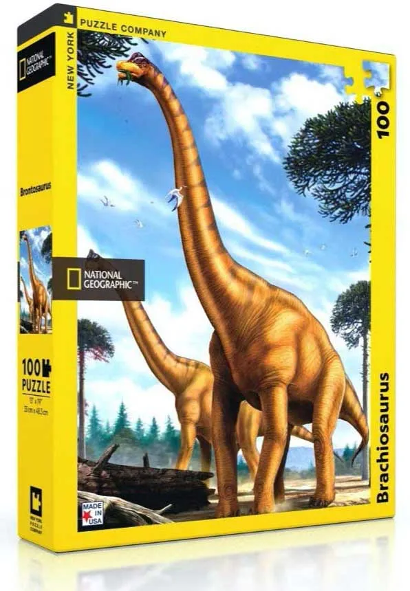 XXL Teile - Brachiosaurus