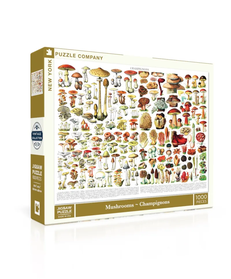 Mushrooms - Champignons