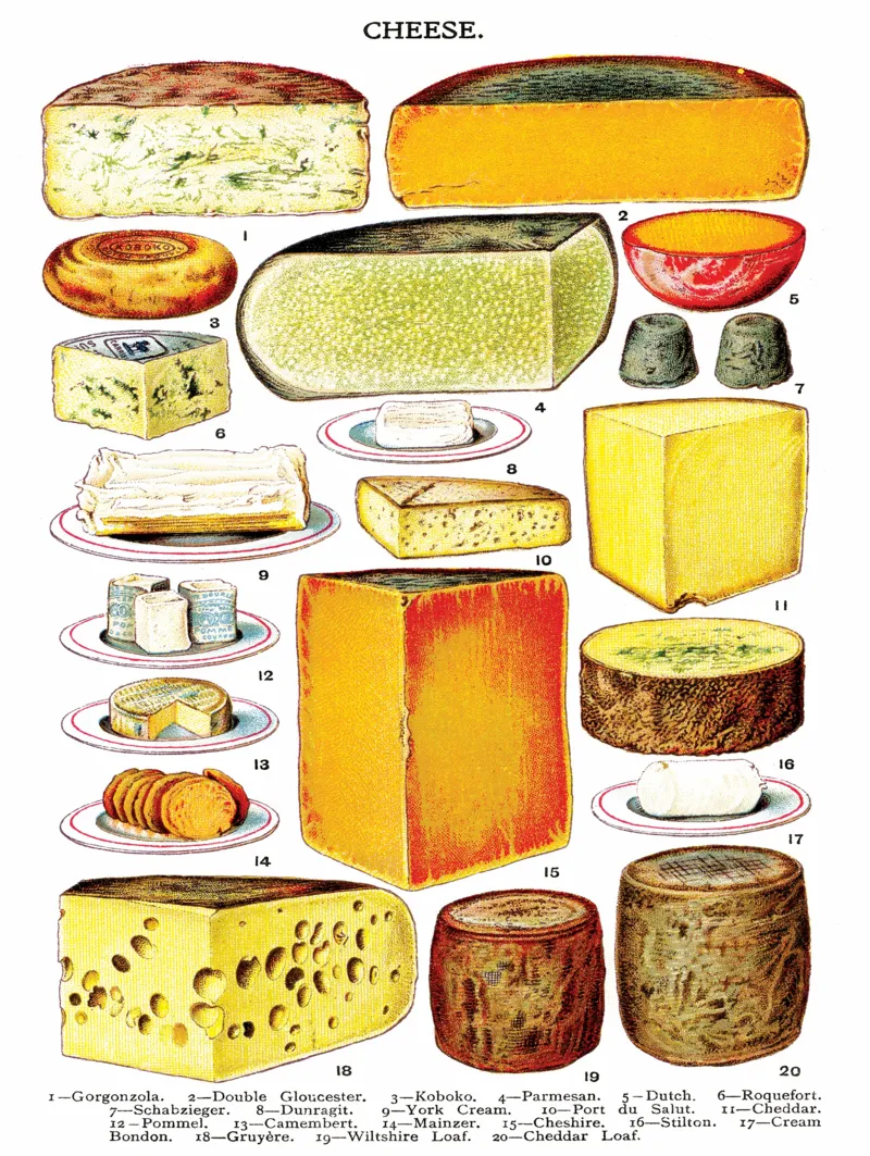 XXL Teile - Cheese