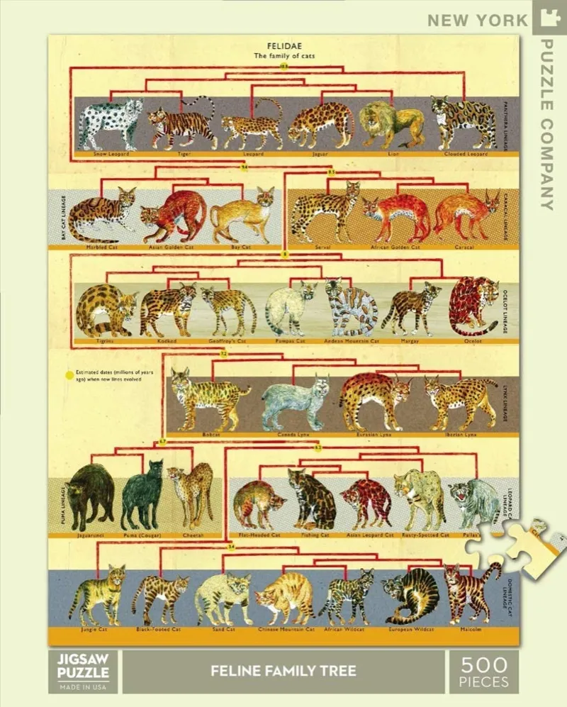 XXL Teile - Feline Family Tree