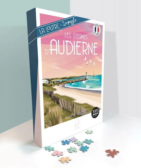 Les sternes d'AUDIERNE Plage de trescadec