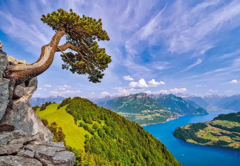 Blick auf den Urnersee, Schweiz