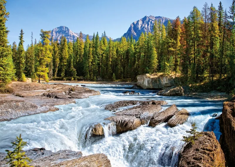 Fluss Athabasca, Jasper Nationalpark, Kanada