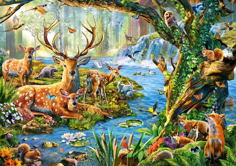 Leben im Wald