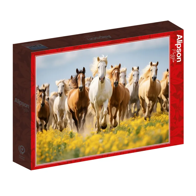 Course de Chevaux