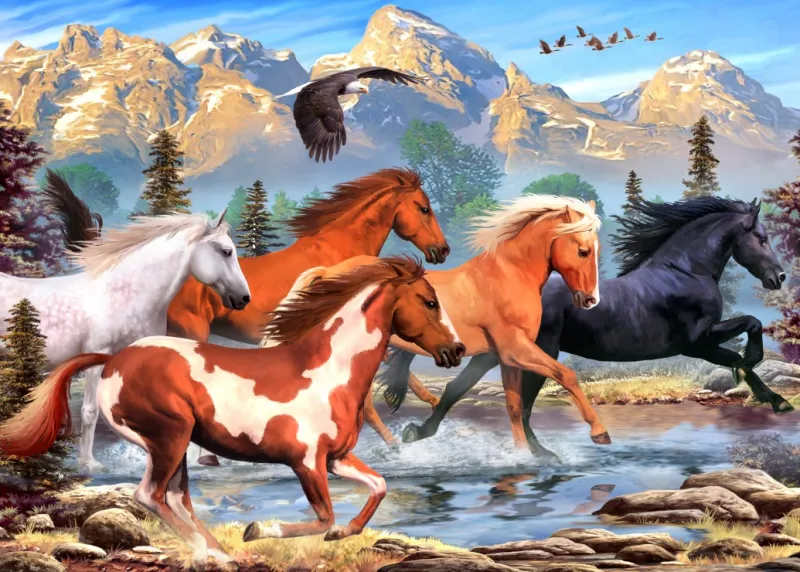 Wild and Free