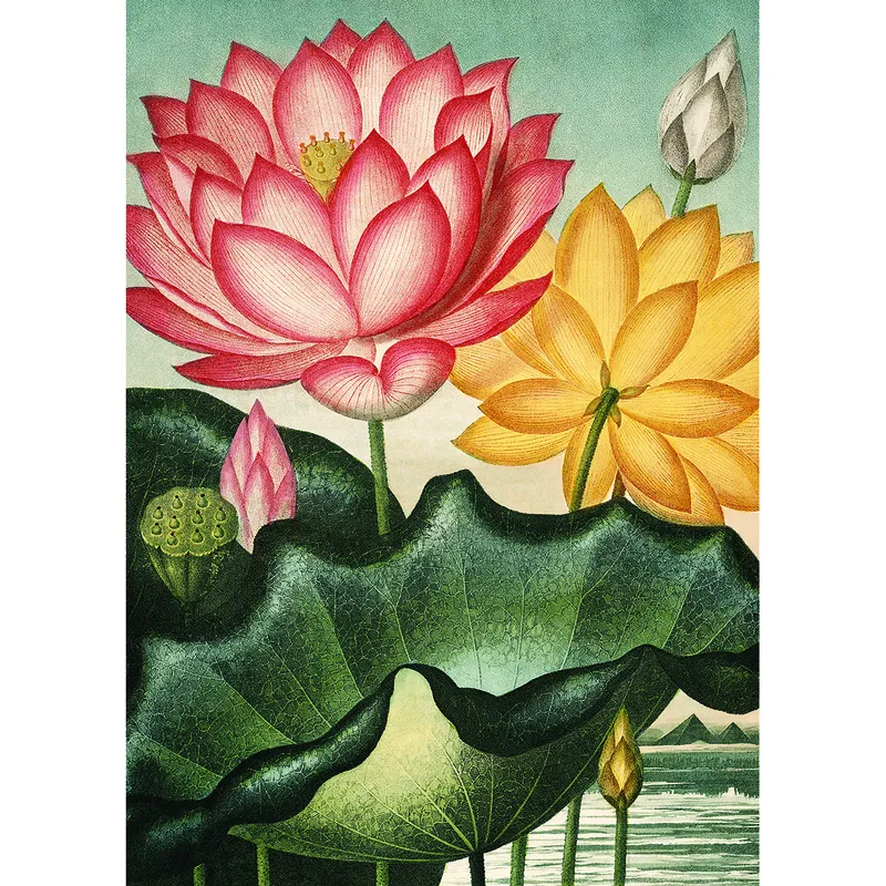 Blumen V