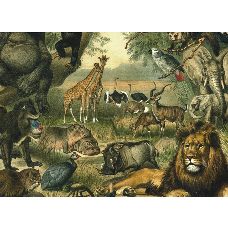 Tiere der Savanne