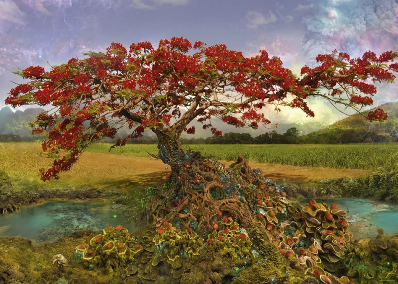 Andy Thomas - Strontium Tree