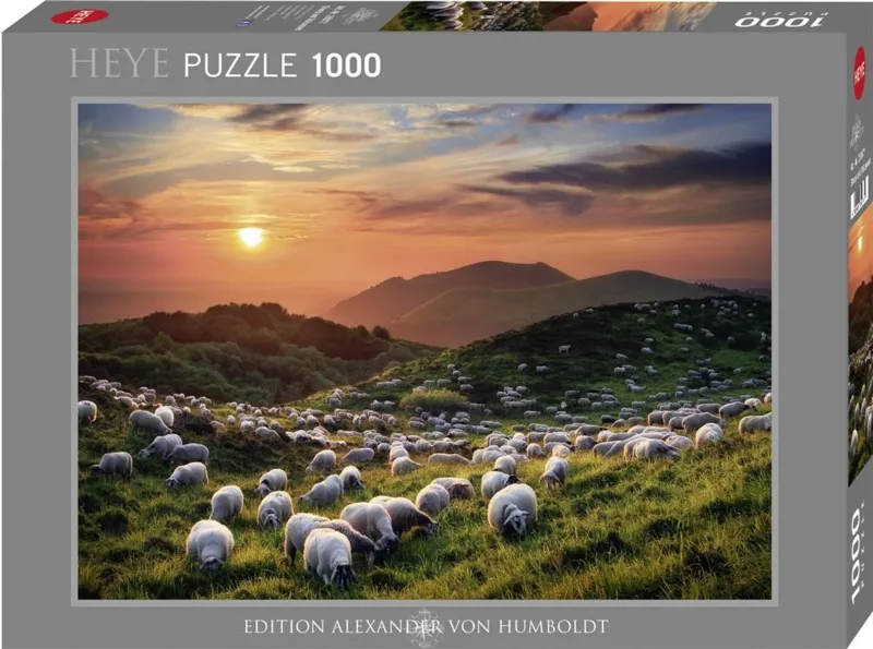 Sheep and Volcanoes