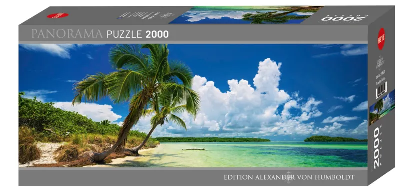 Paul Marcellini - Paradise Palms